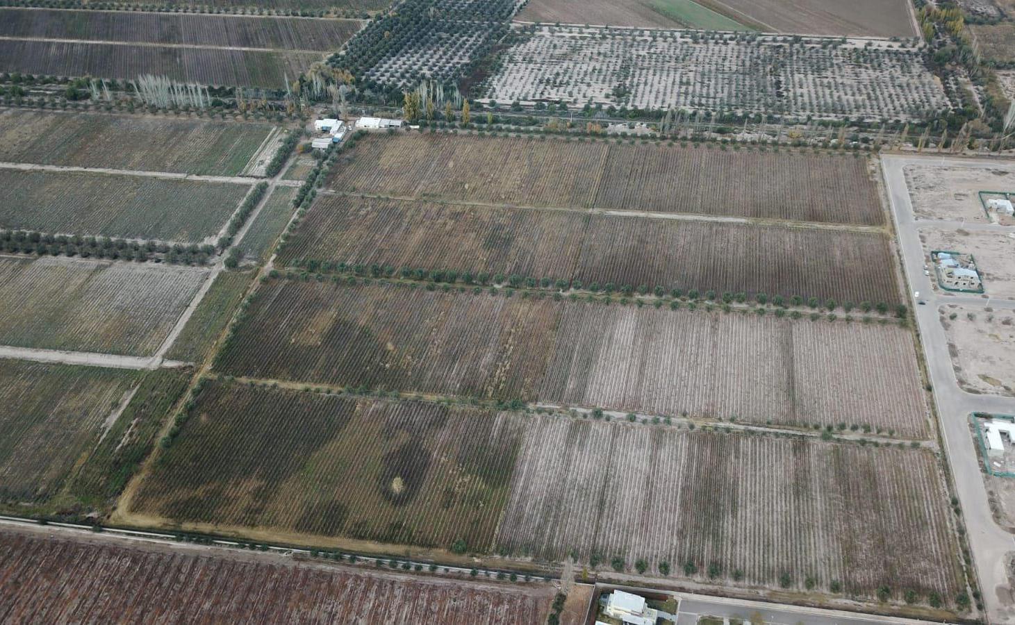 Foto de Mapa Propiedades Vende Terreno para Desarrollo Inmobiliario Premium, imagen 3