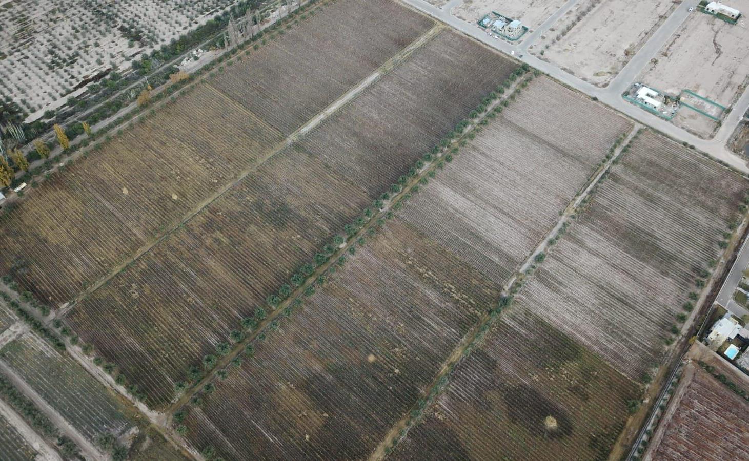 Foto de Mapa Propiedades Vende Terreno para Desarrollo Inmobiliario Premium, imagen 5
