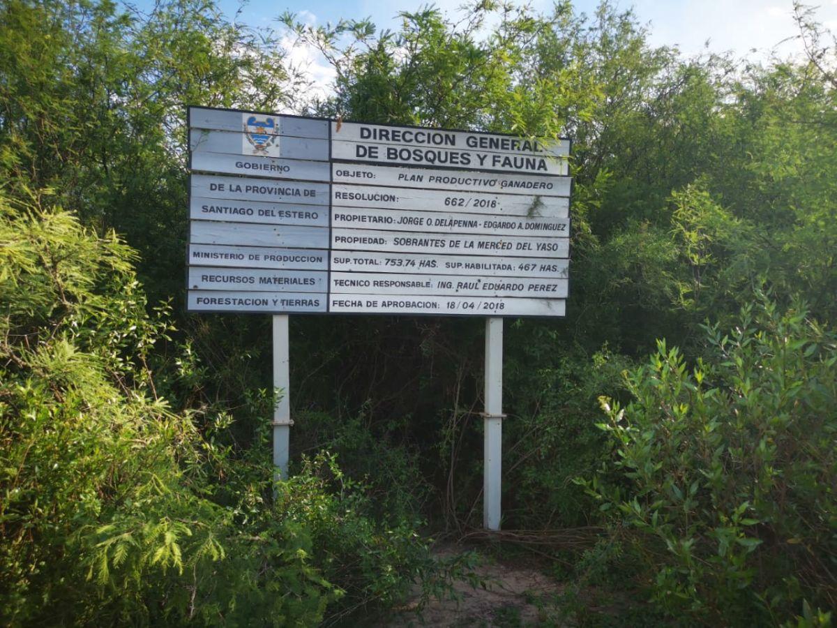 VENTA/CAMPO GANADERO/ FERNÁNDEZ