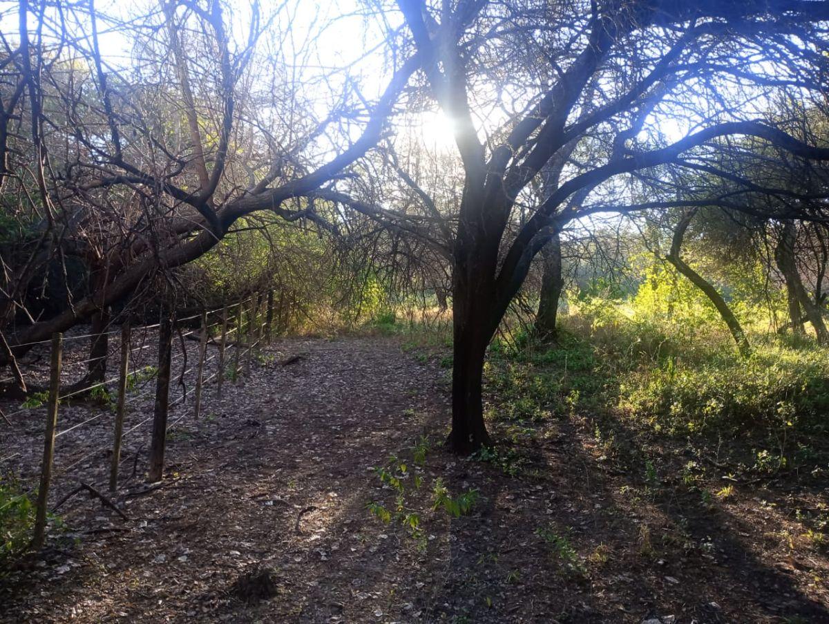 VENTA/CHACRA/TRAMO 18/LA BANDA, SANTIAGO DEL ESTERO