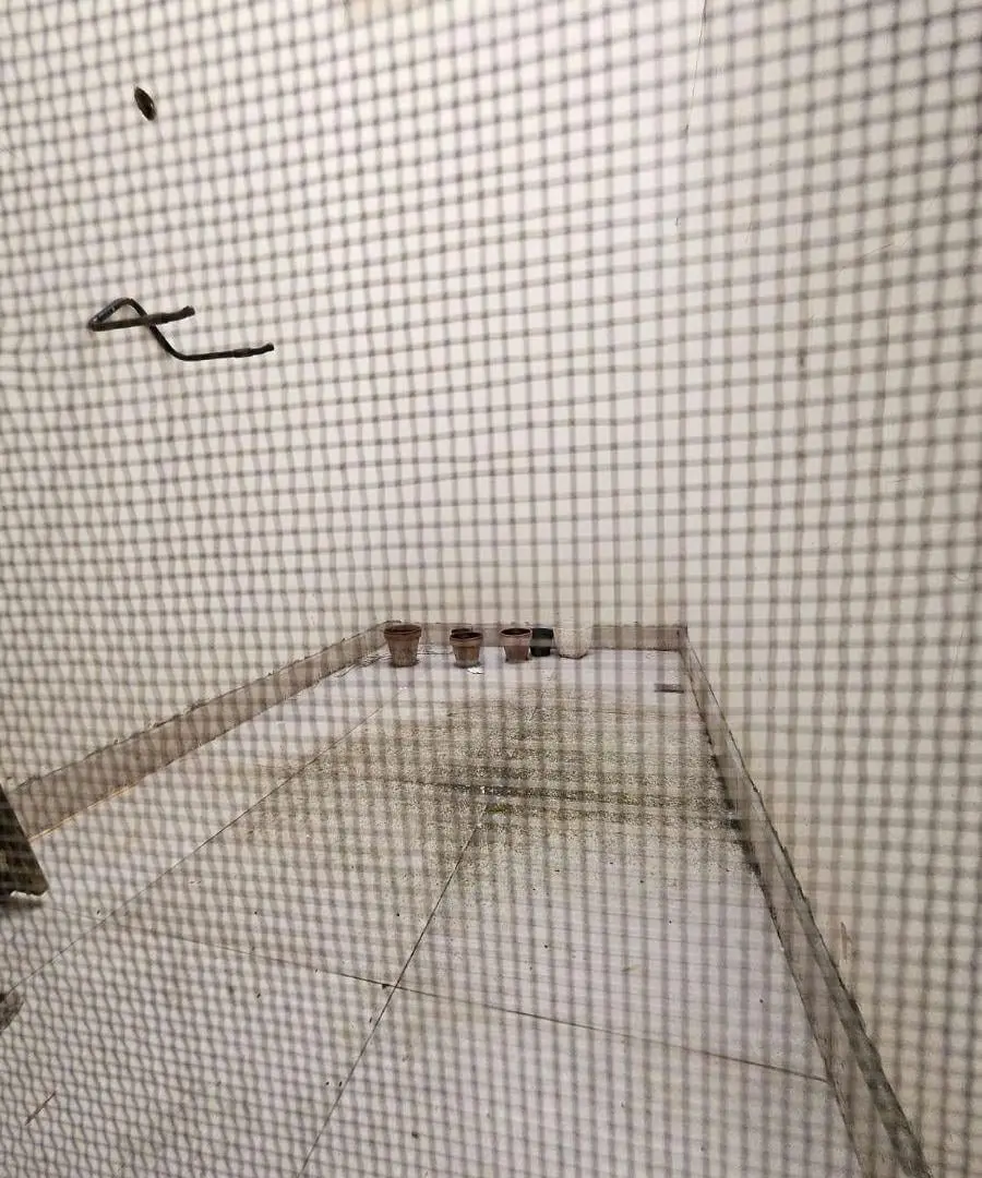 departamento alquiler Maipu 1801 5