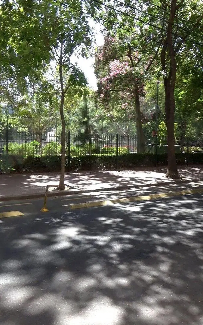OPORTUNIDAD! GALPÓN/DEPÓSITO, SÓTANO Y COCHERA! 2