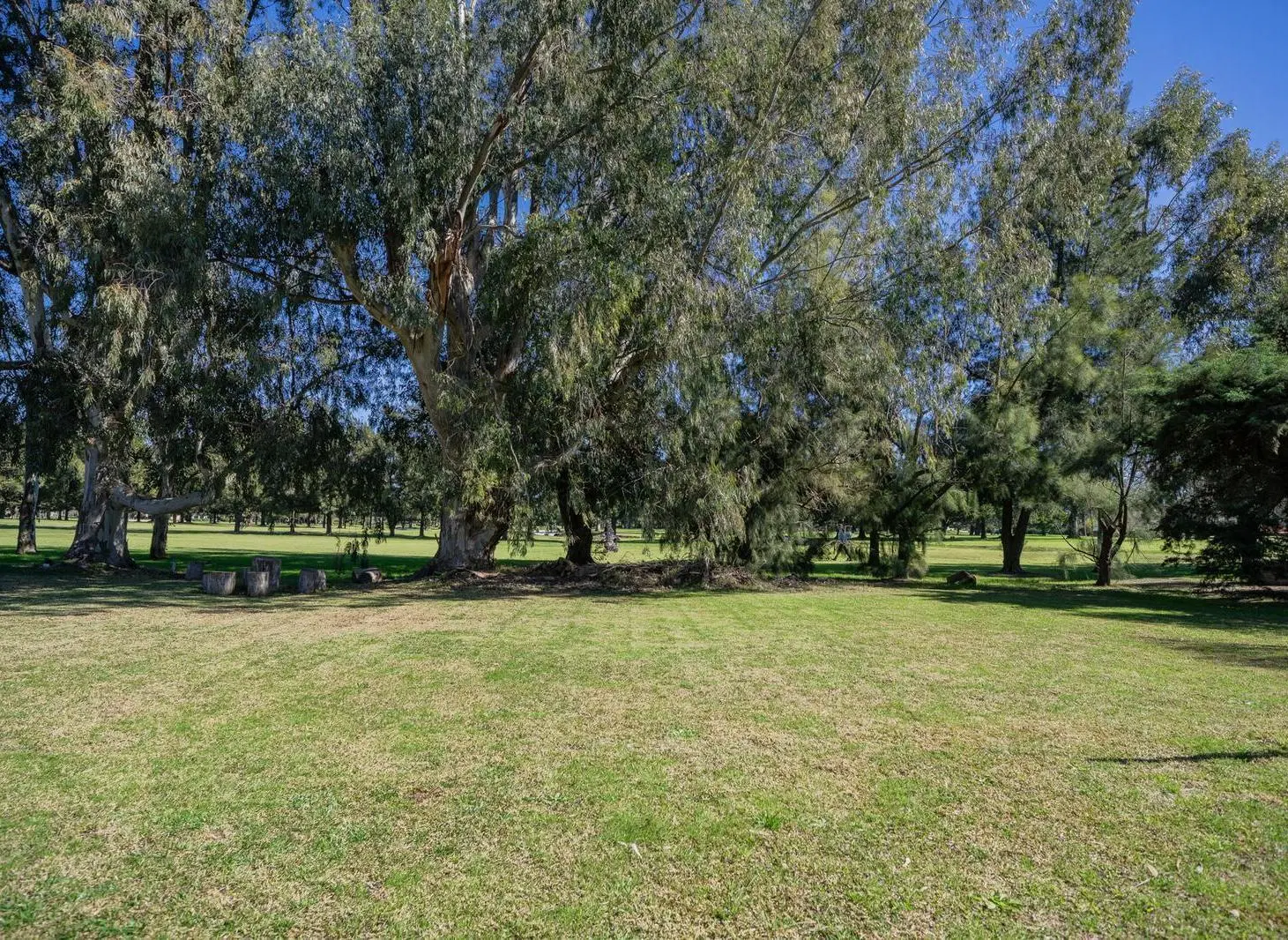 Se vende doble lote en el Golf Chascomús Country Club - Muy buena ubicación. 3