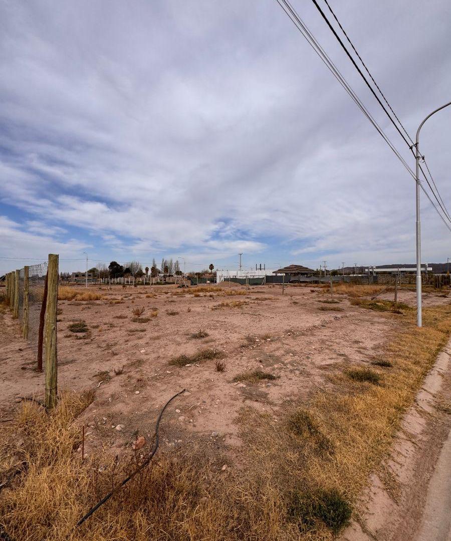 Foto de Terreno de 500 m² en venta en Luján de Cuyo, imagen 4