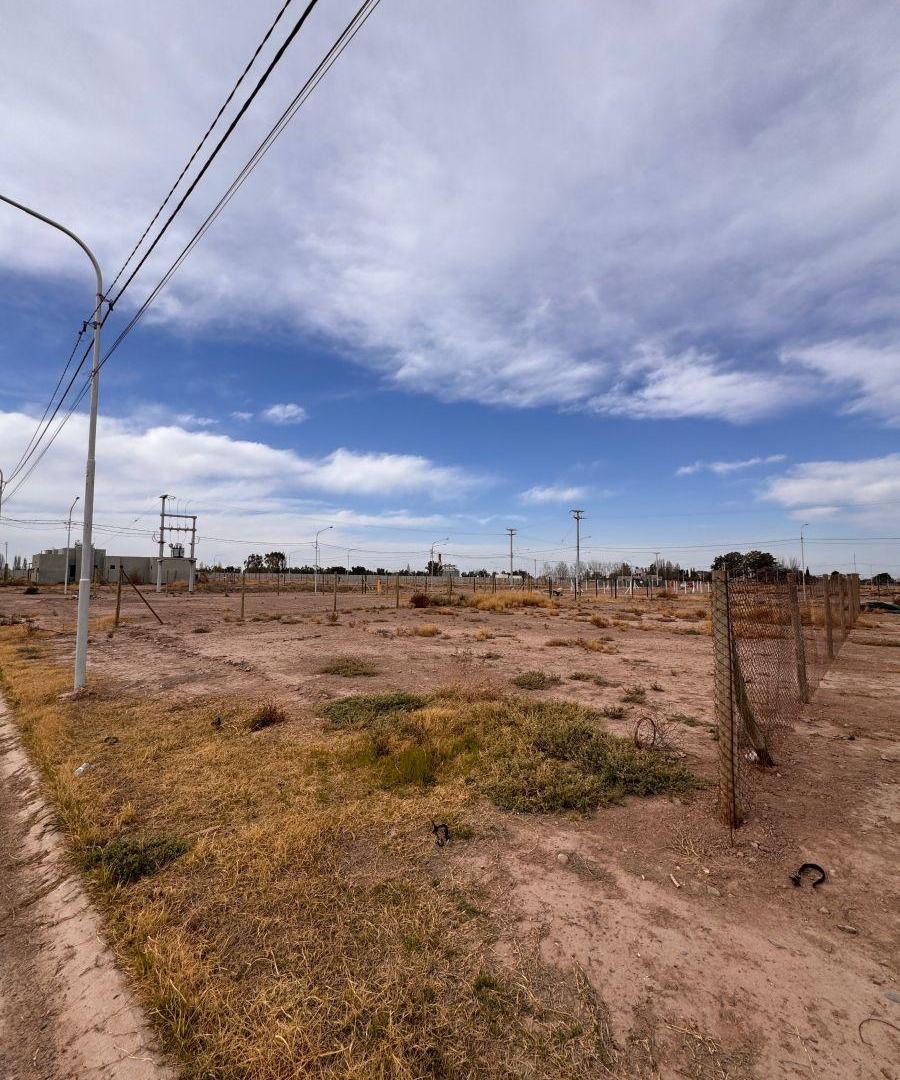 Foto de Terreno de 500 m² en venta en Luján de Cuyo, imagen 5