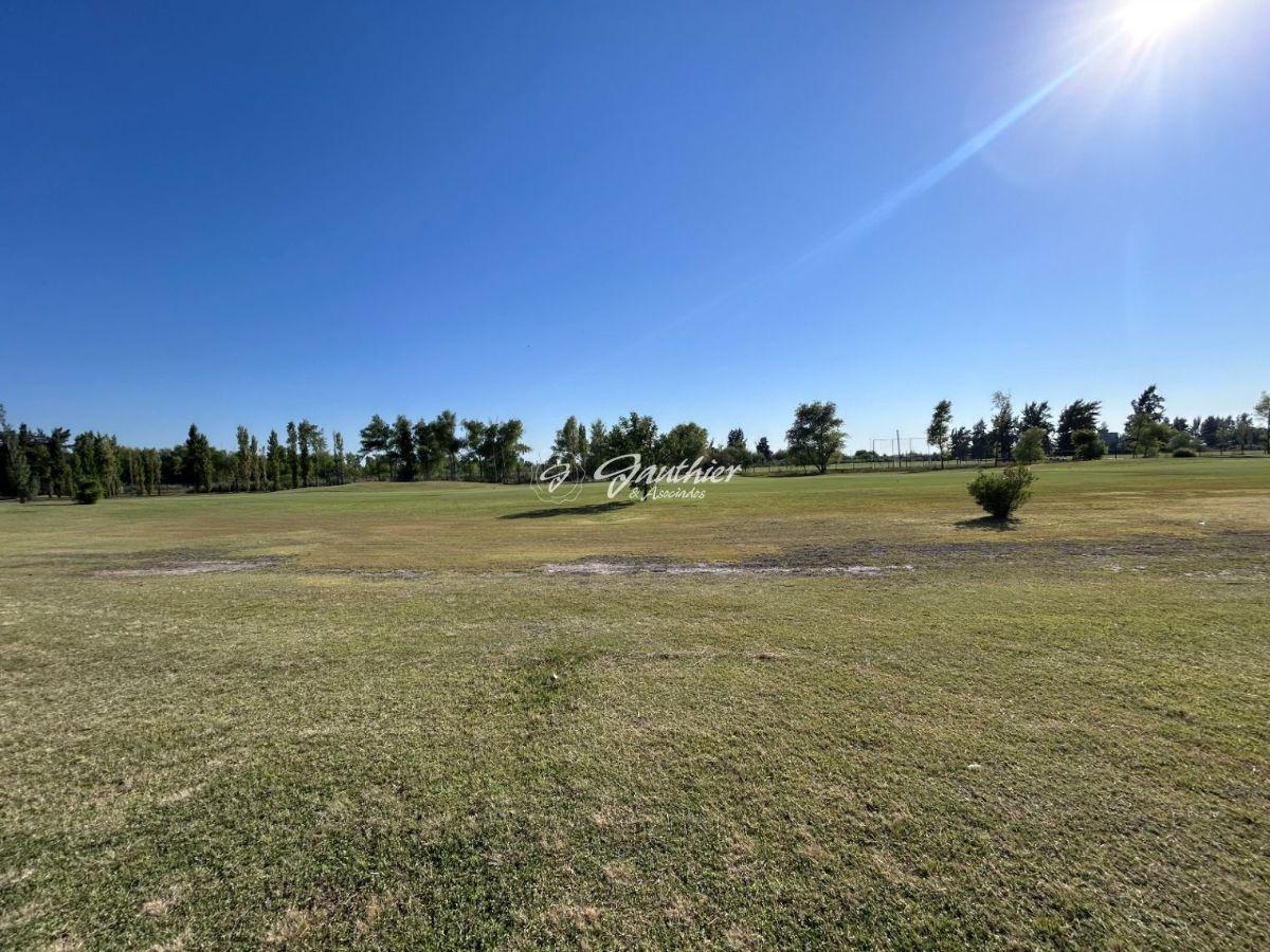 Foto de Terreno / Lote en venta de 1263m2 ubicado en Campana, imagen 3