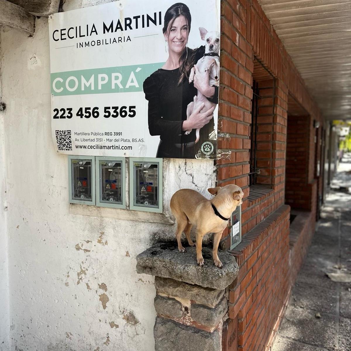 Foto de PH - La Perla, imagen 5