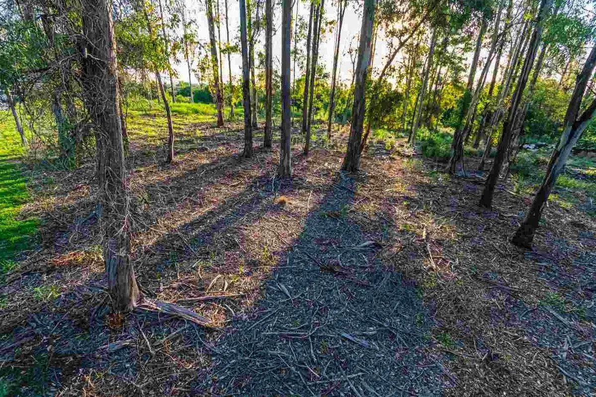 VENTA TERRENO- CAMPO TIMBO 5