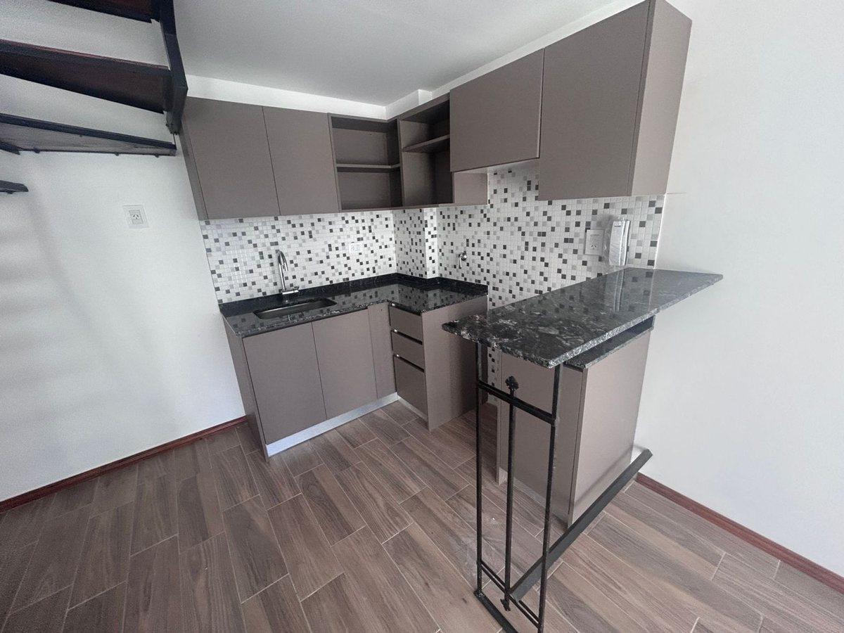 DUPLEX 1 DORMI + COMODIN CON TERRAZA EXCLUSIVA