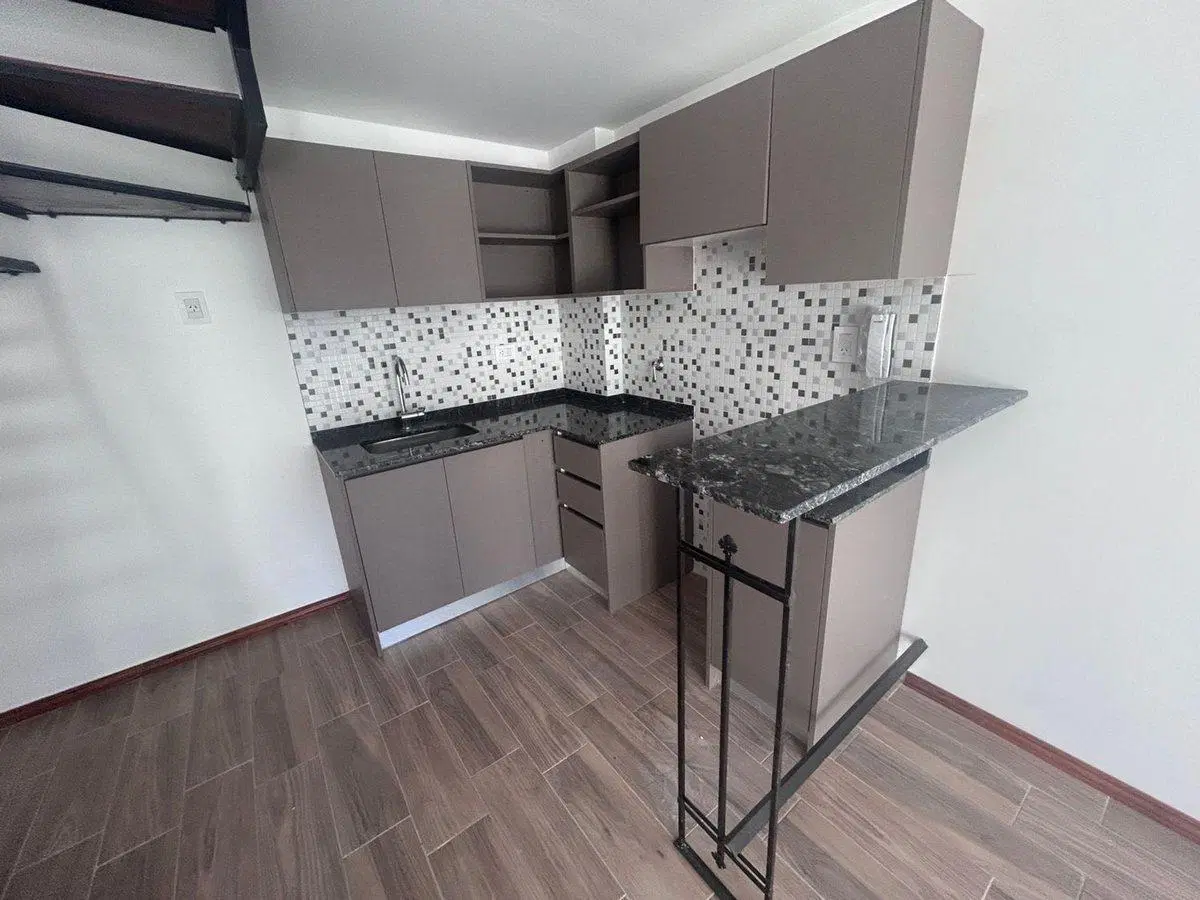 DUPLEX 1 DORMI + COMODIN CON TERRAZA EXCLUSIVA 2