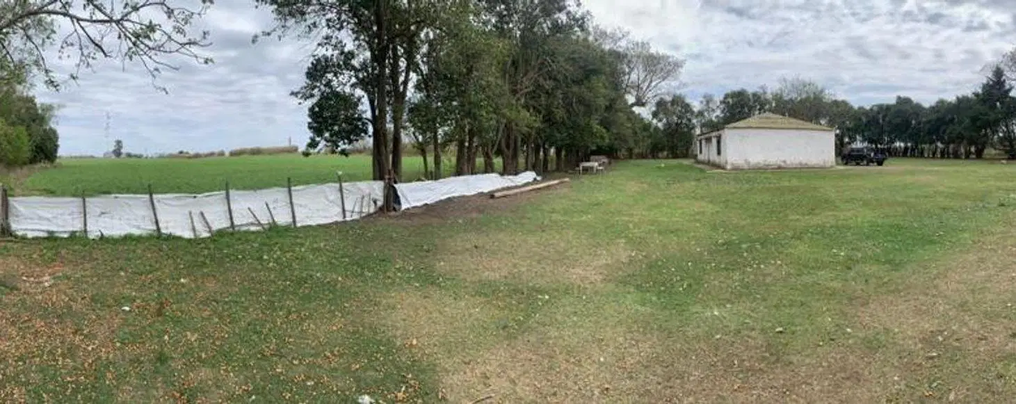 VENTA CAMPO EN FIGHIERA - 8 HECTAREAS 3