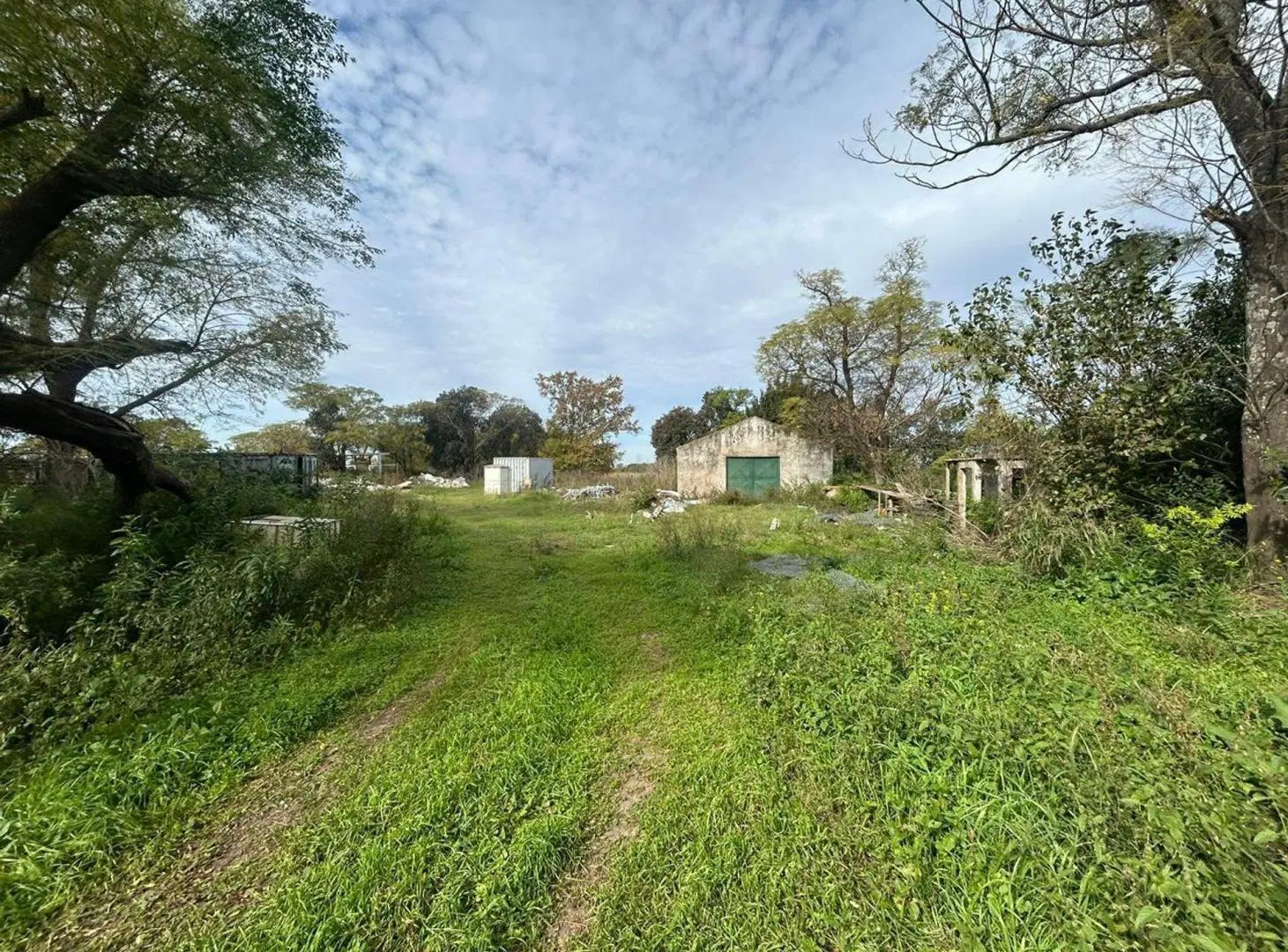 VENTA CAMPO EN FIGHIERA - 8 HECTAREAS 2