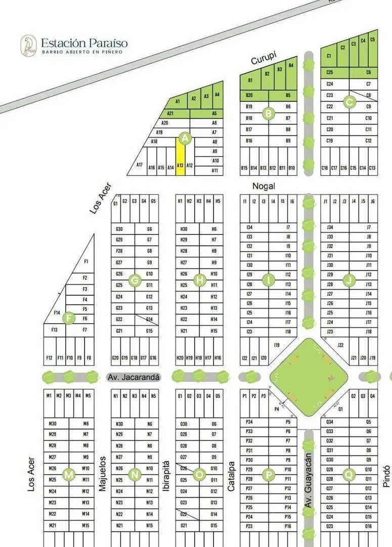 Plano 1