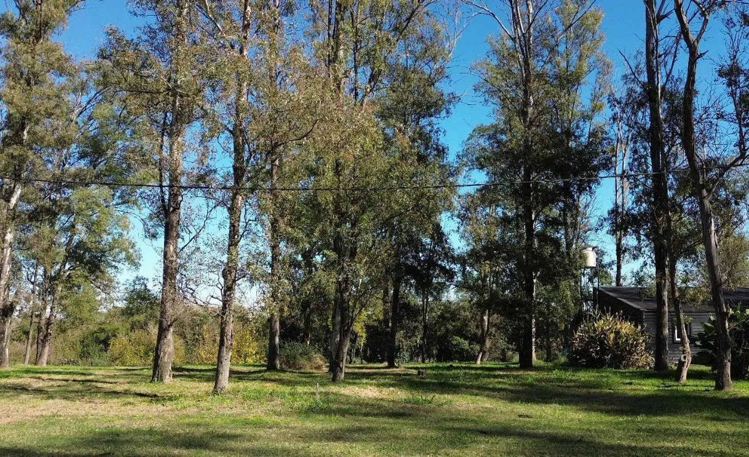 VENTA LOTE A91 CAMPO TIMBO 3