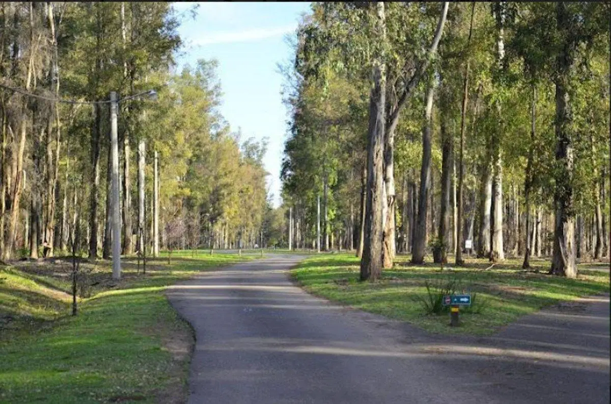 Venta de Lote Campo Timbo Oliveros 5