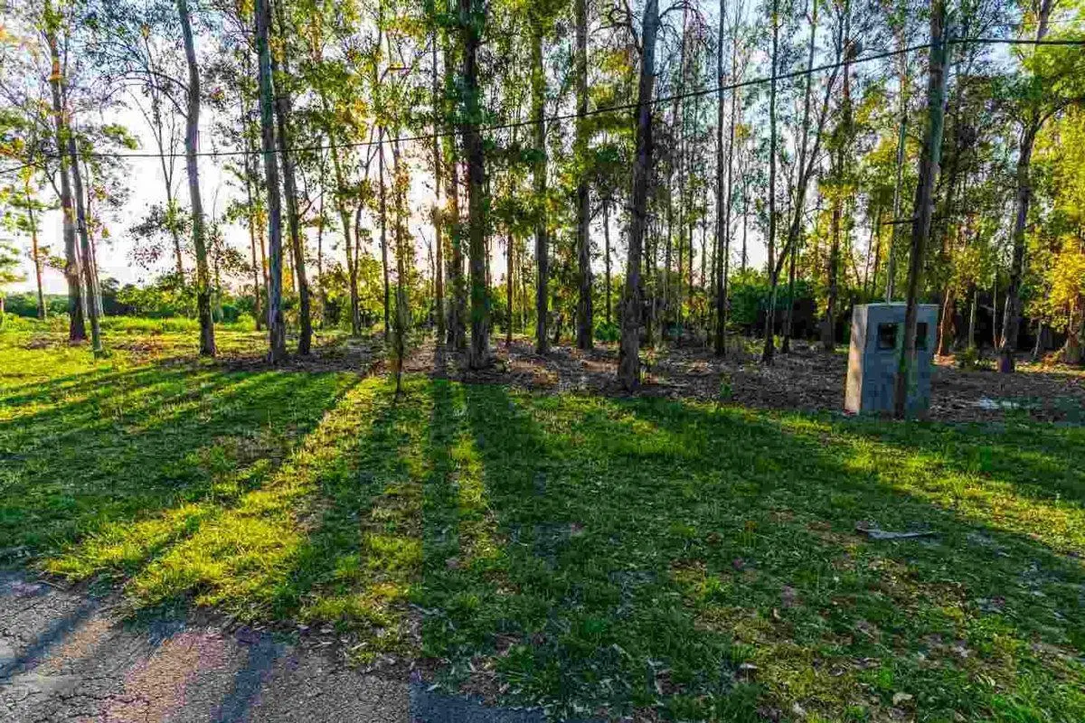 VENTA TERRENO- CAMPO TIMBO 5