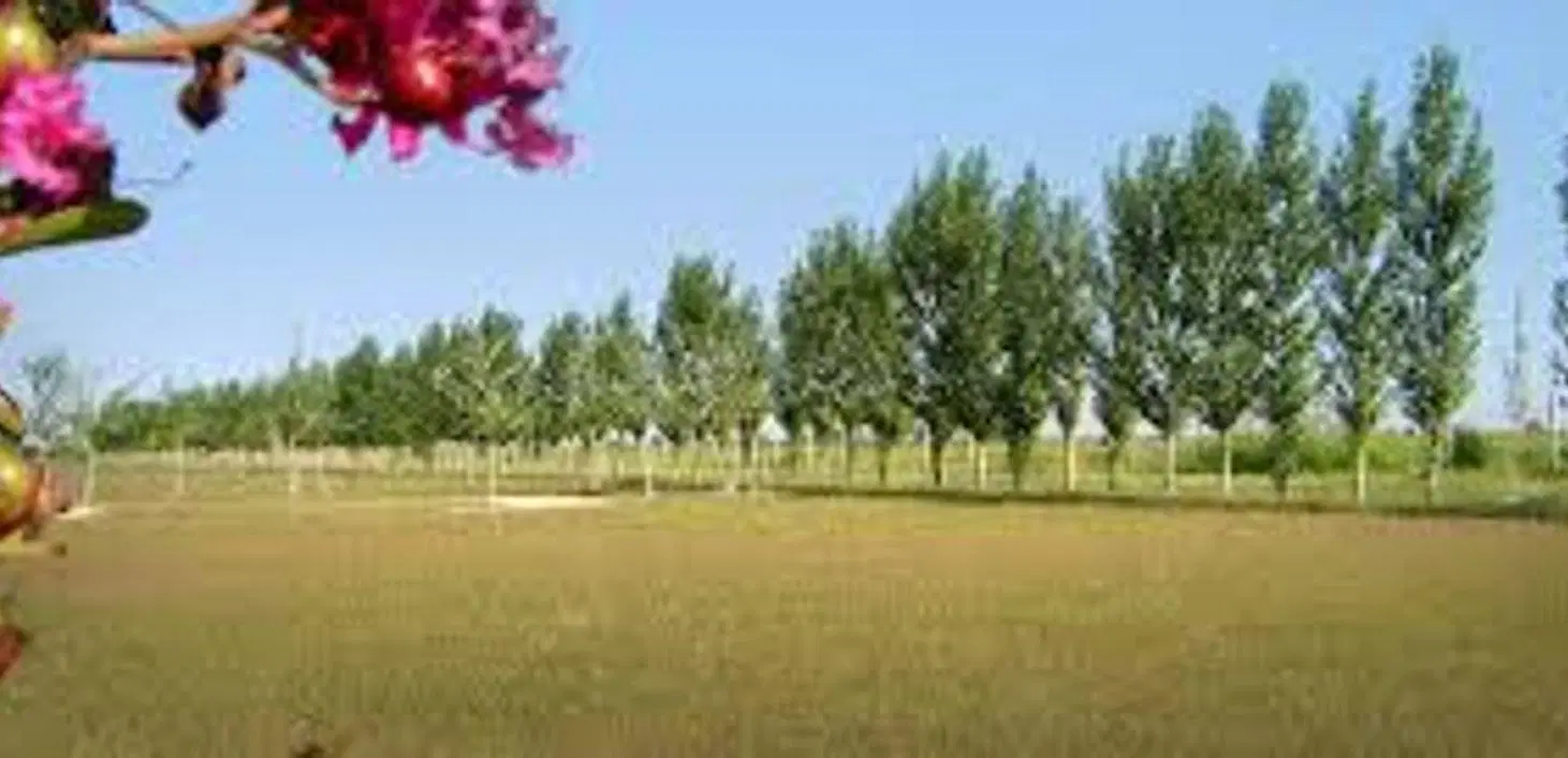 VENTA TERRENO EN FUNES - HARAS DE FUNES 3