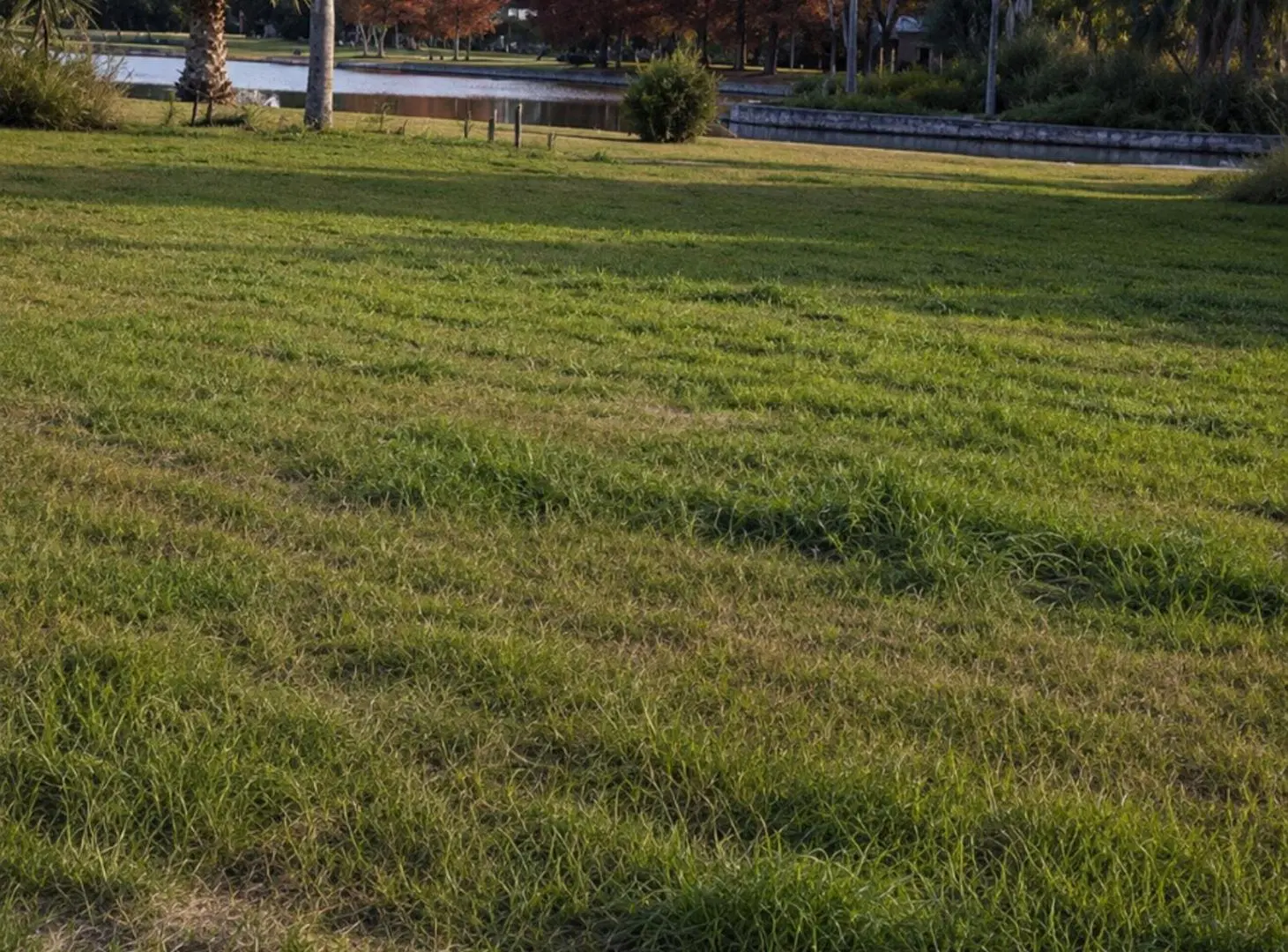 Lote de 1.893 m² a una cuadra del Río Carcarañá 3