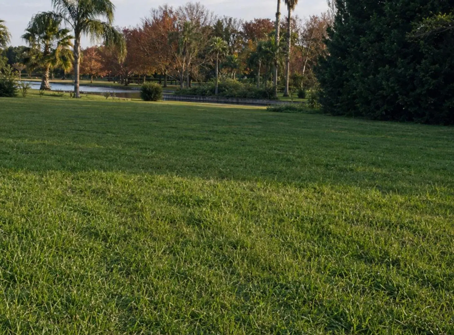 Lote de 1.893 m² a una cuadra del Río Carcarañá 2