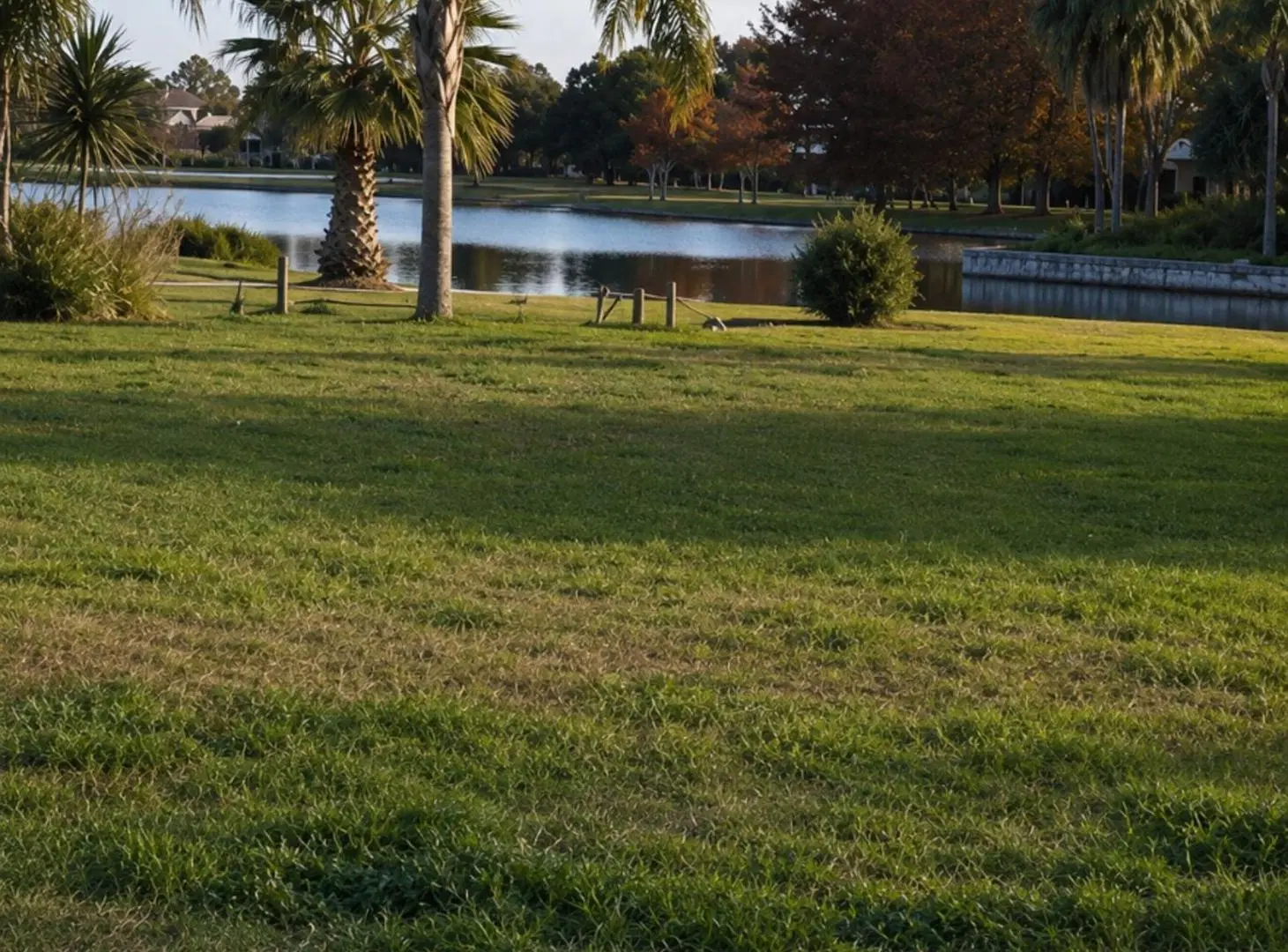 Lote de 1.893 m² a una cuadra del Río Carcarañá 5