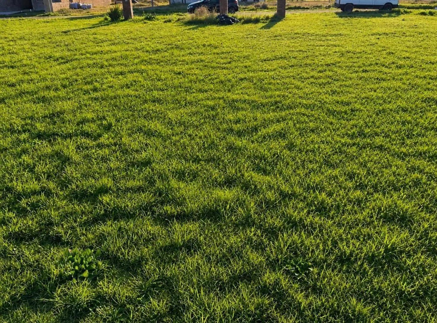 VENTA: LOTE 300 METROS ECO VIDA (FINANCIACION) 5