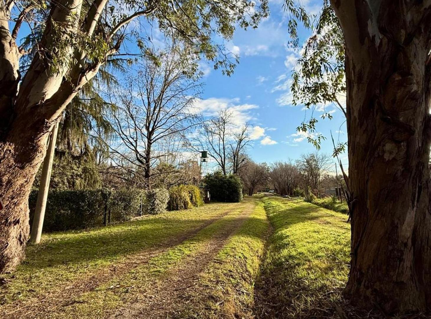 Foto de TERRENO EN VENTA ZAVALLA ARBOLEDA, imagen 2