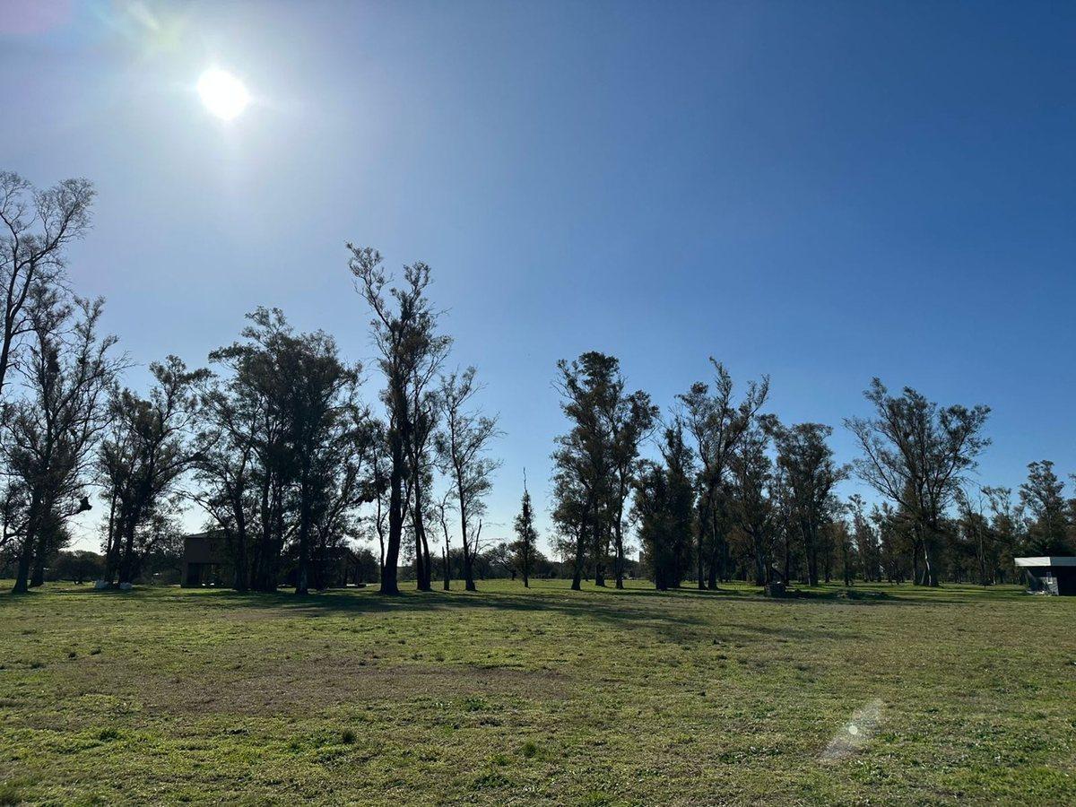 Foto de CHACRAS EN VENTA DE 3.000 M² EN CHACRAS DEL RINCÓN, imagen 5