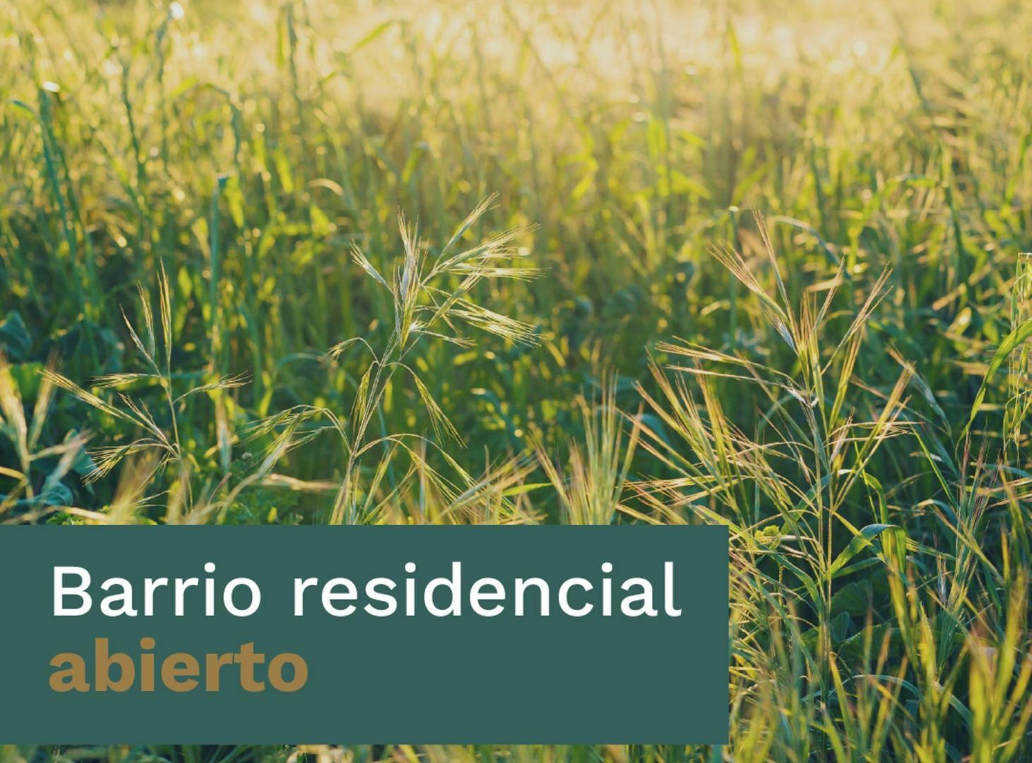 Foto de VENDE - Lote 458 en Nihuil, imagen 3