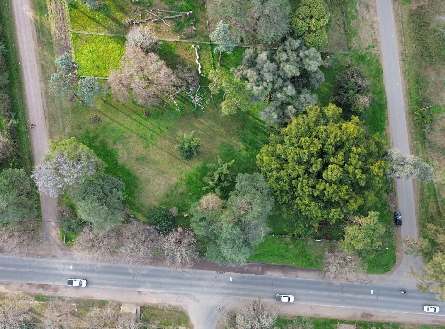 Foto de VENTA TERRENO SOBRE RUTA 9, imagen 3