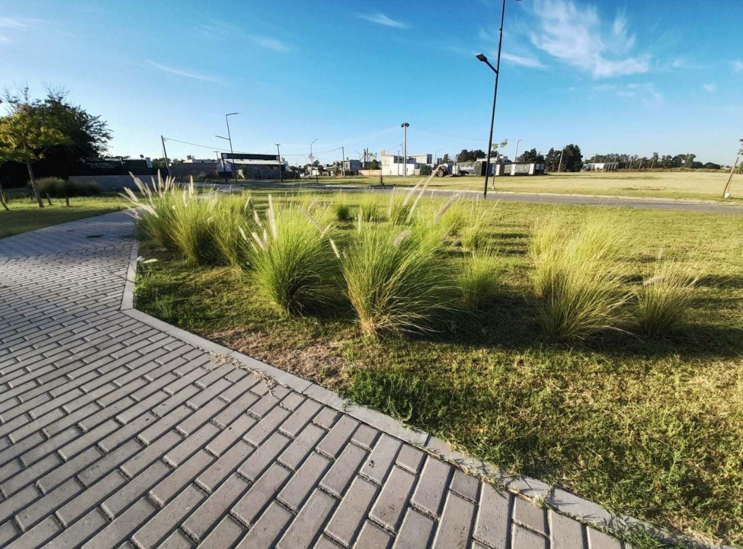 Foto de Venta lote 295 mt2 en el corazón de Ricardone, imagen 3
