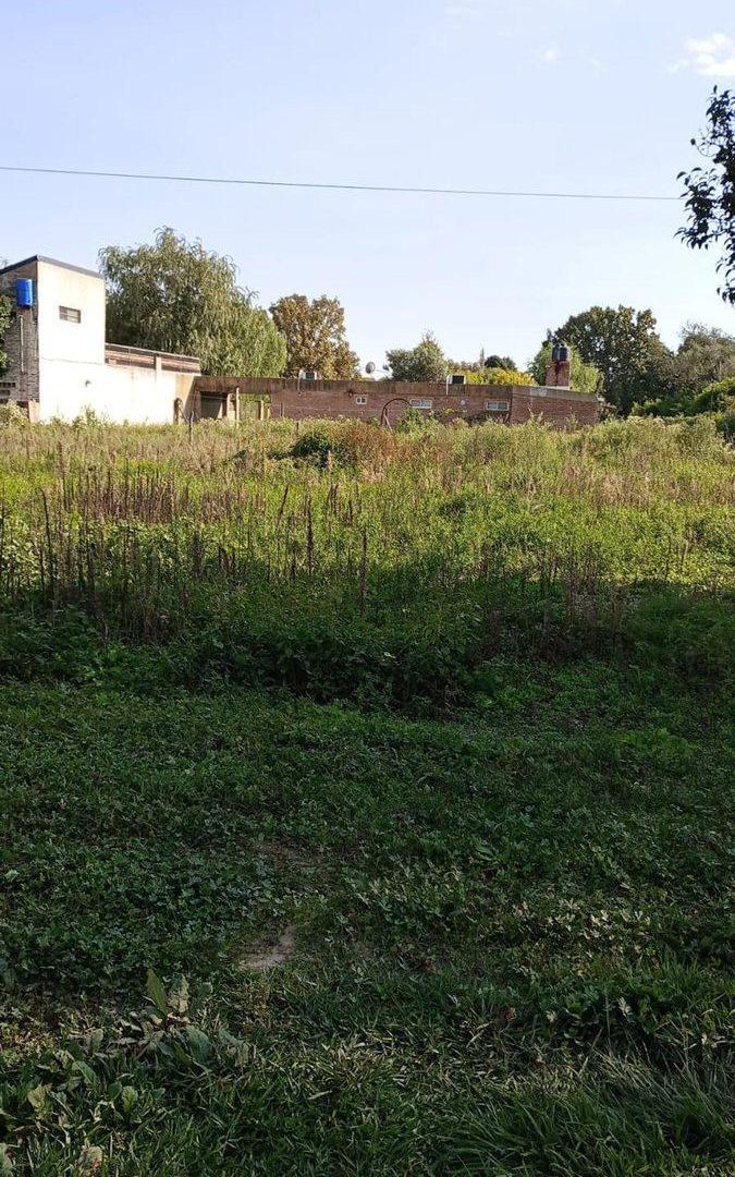 Foto de Terreno de 495 mt2 en Venta en Oliveros, imagen 3