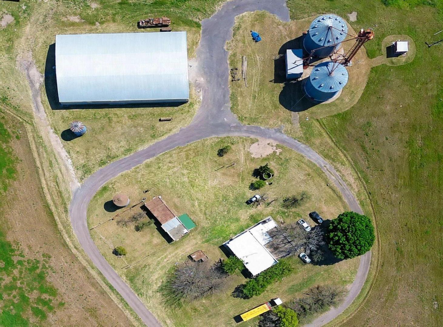 Foto de VENTA DE CAMPO PRODUCTIVO DE 4 HECTAREAS EN FIRMAT, imagen 5