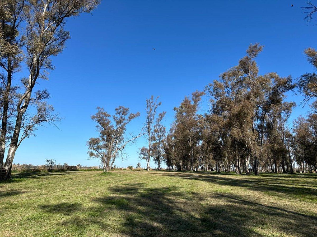 Foto de VENTA LOTE EN TIMBÚES CHACRAS DEL RINCÓN, imagen 5