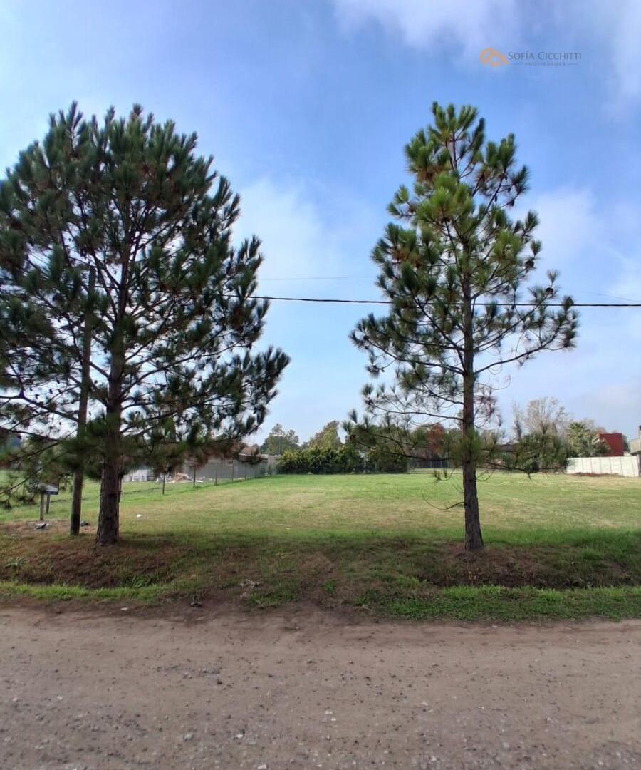 Foto de EN VENTA- ROLDAN- COTOS - A POCOS MTS DE RN9., imagen 2