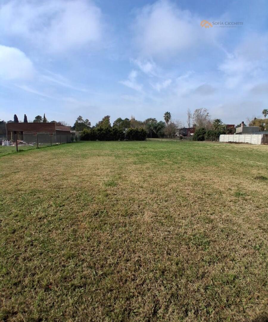 Foto de EN VENTA- ROLDAN- COTOS - A POCOS MTS DE RN9., imagen 1