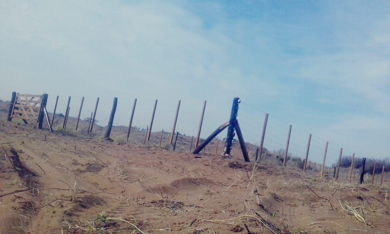 Foto de Lote . | 43 al S00, imagen 3