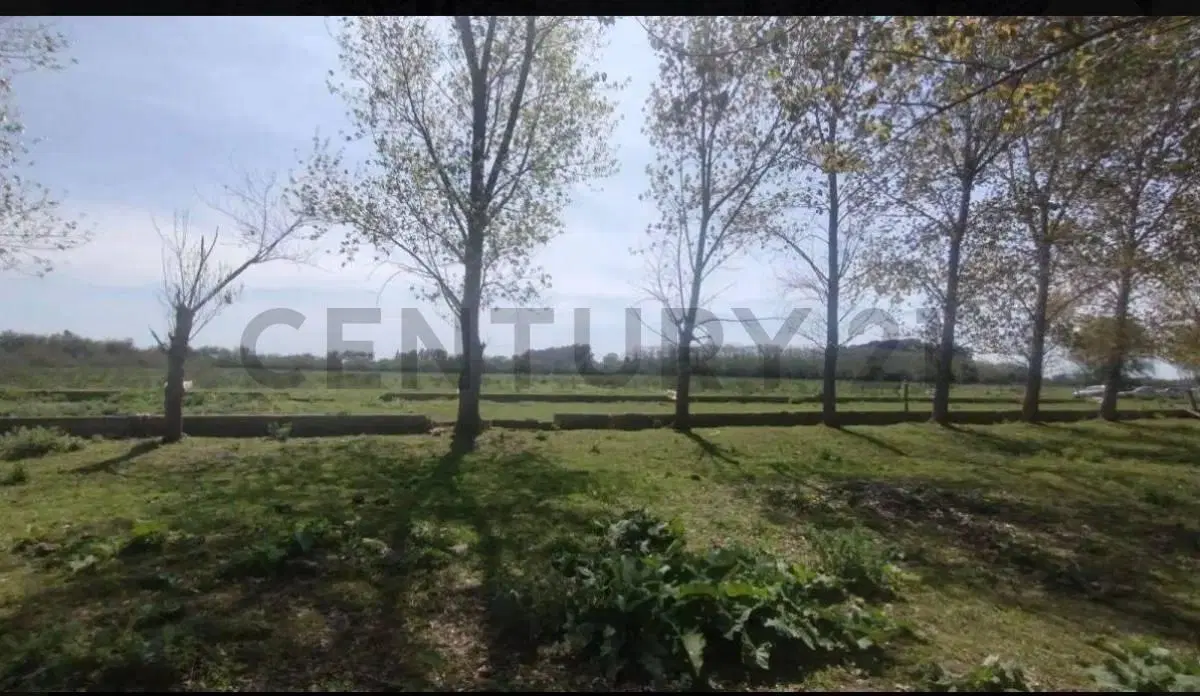 Chacra de 5 hectáreas sobre Ruta 63 – Dolores, Provincia de Buenos Aires 4