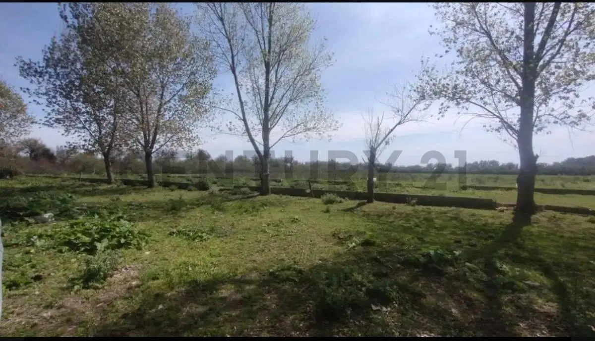 Chacra de 5 hectáreas sobre Ruta 63 – Dolores, Provincia de Buenos Aires 2