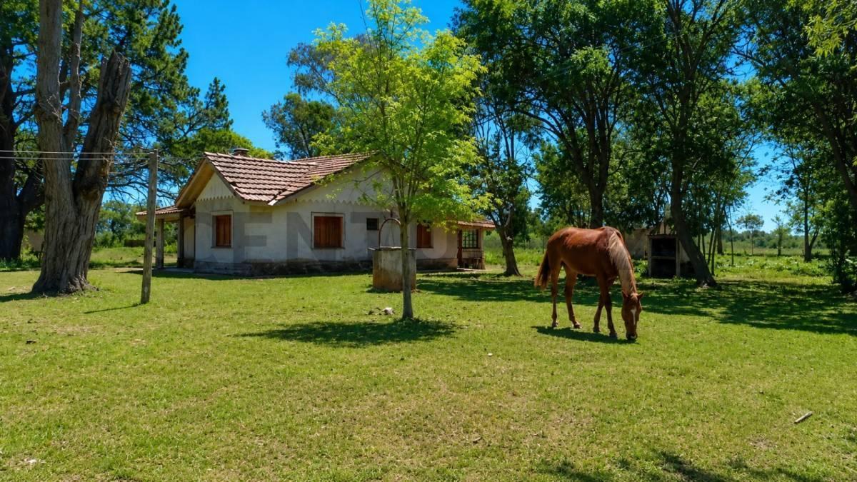 Chacra de 5 hectáreas sobre Ruta 63 – Dolores, Provincia de Buenos Aires