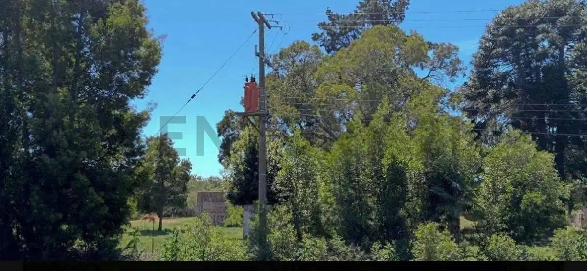 Chacra de 5 hectáreas sobre Ruta 63 – Dolores, Provincia de Buenos Aires 3