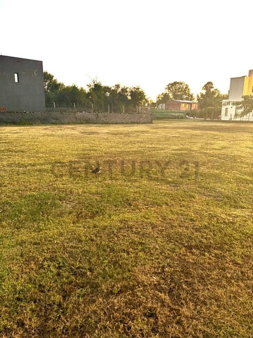 Foto de Lote en venta en Santa Emilia – Pilar del Este, imagen 1