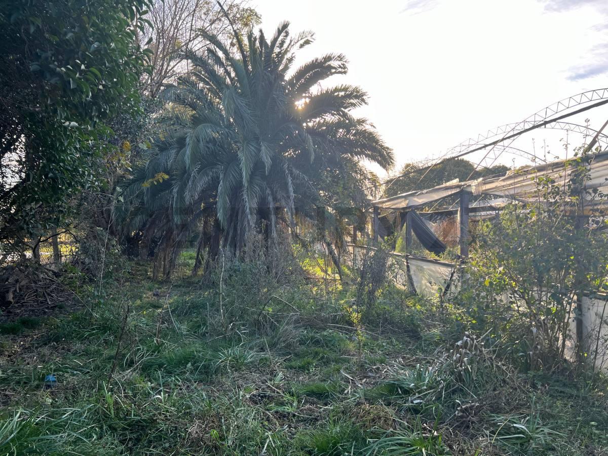 Foto de VENTA TERRENO 3 HECTÁREAS EN MERLO, imagen 1