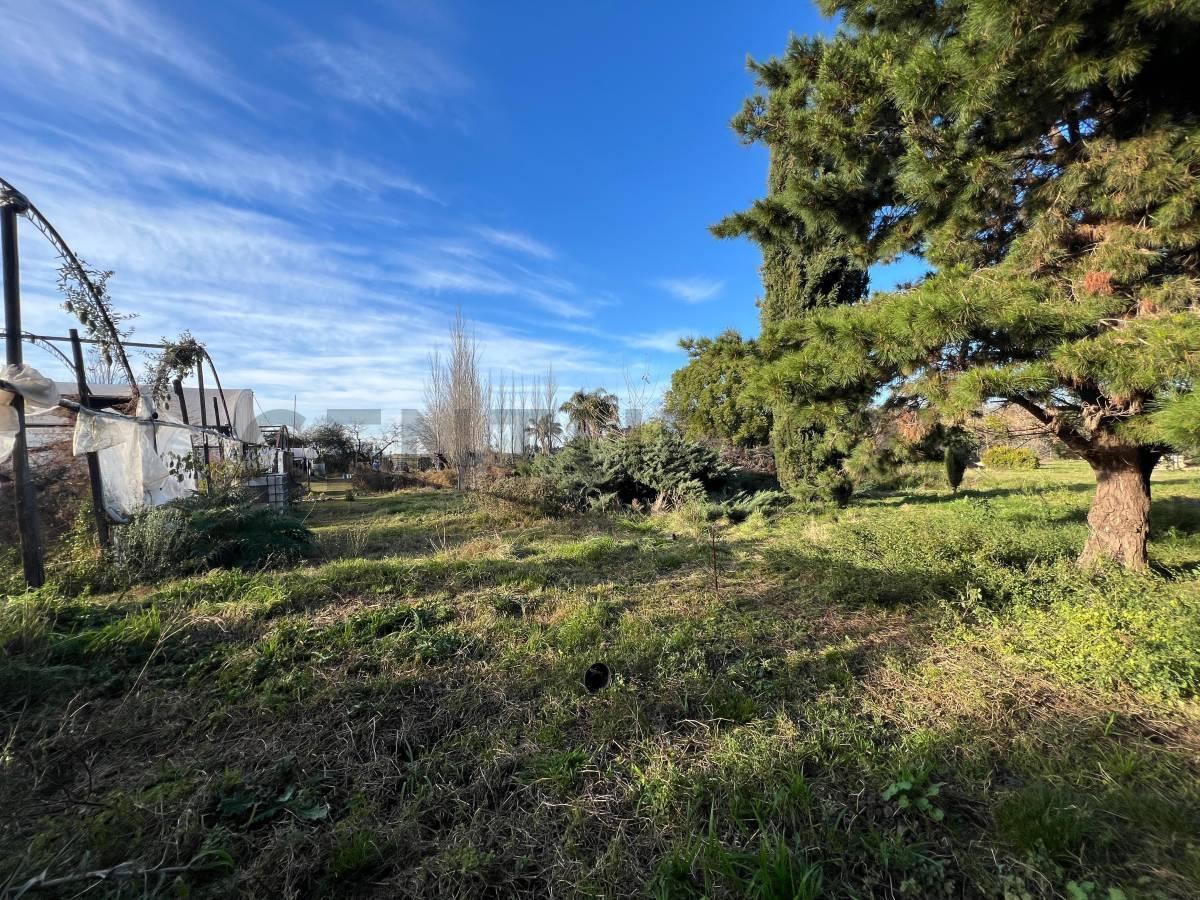 Foto de VENTA TERRENO 3 HECTÁREAS EN MERLO, imagen 5