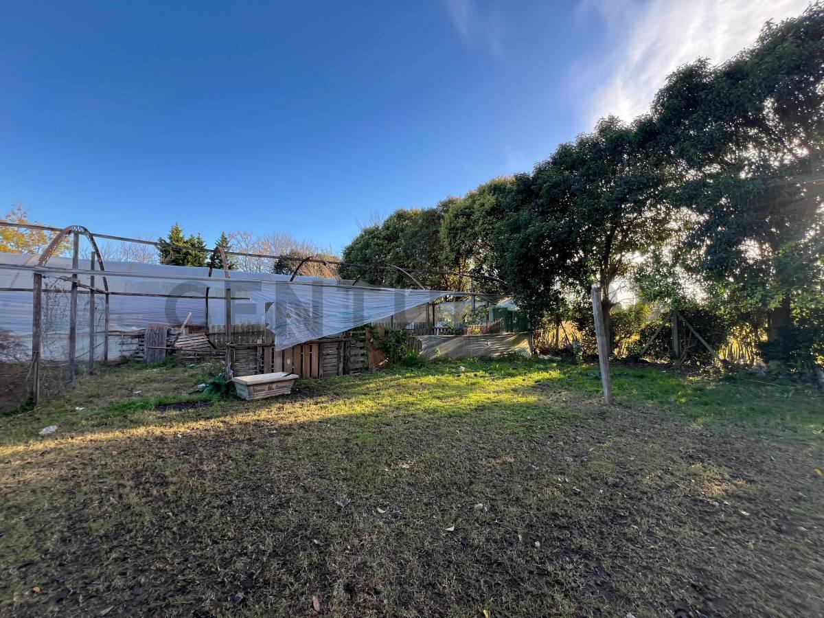Foto de VENTA TERRENO 3 HECTÁREAS EN MERLO, imagen 4