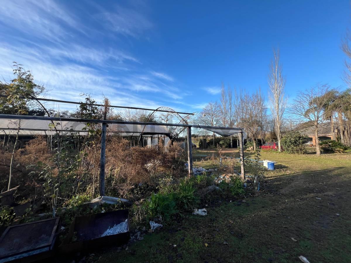 Foto de VENTA TERRENO 3 HECTÁREAS EN MERLO, imagen 2
