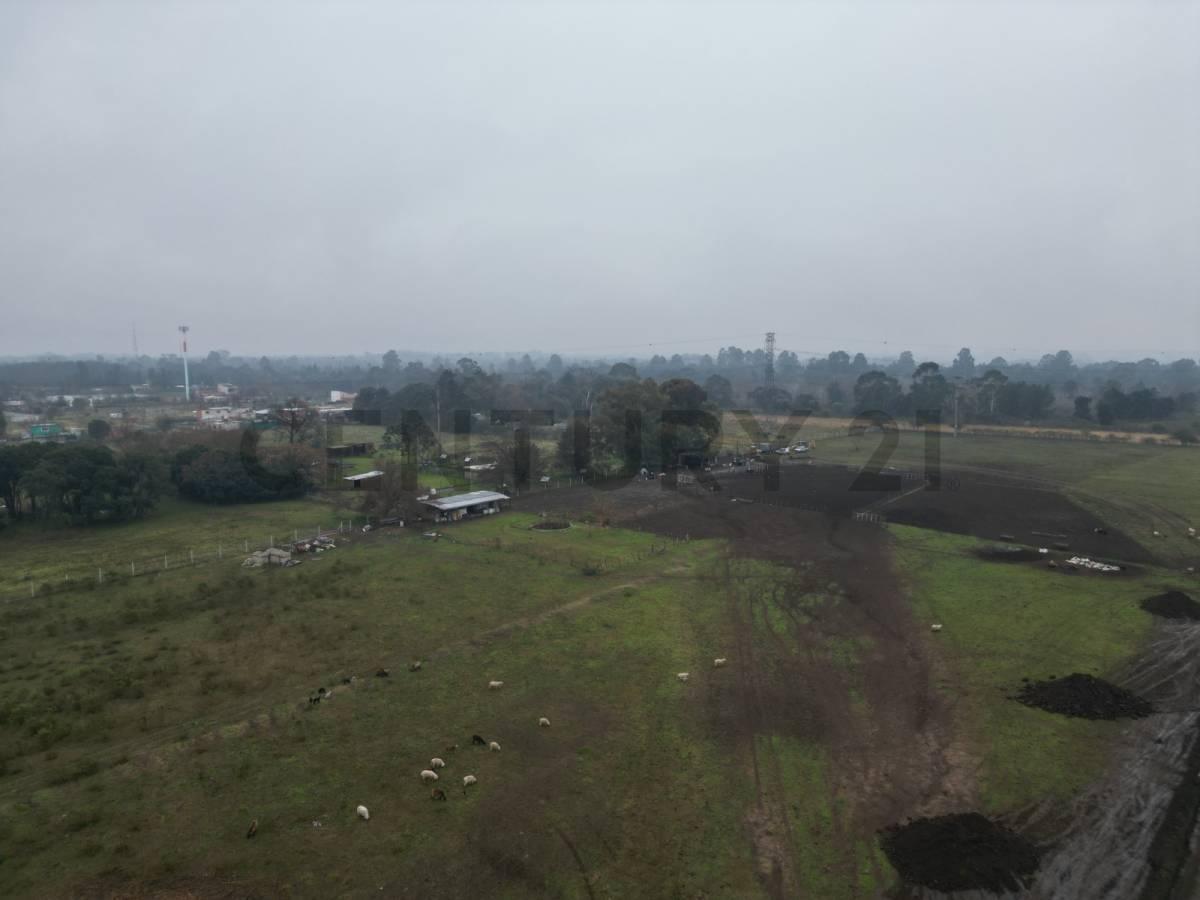 Foto de LOTES EN VENTA SAN JERONIMO II - MATHEU, imagen 2