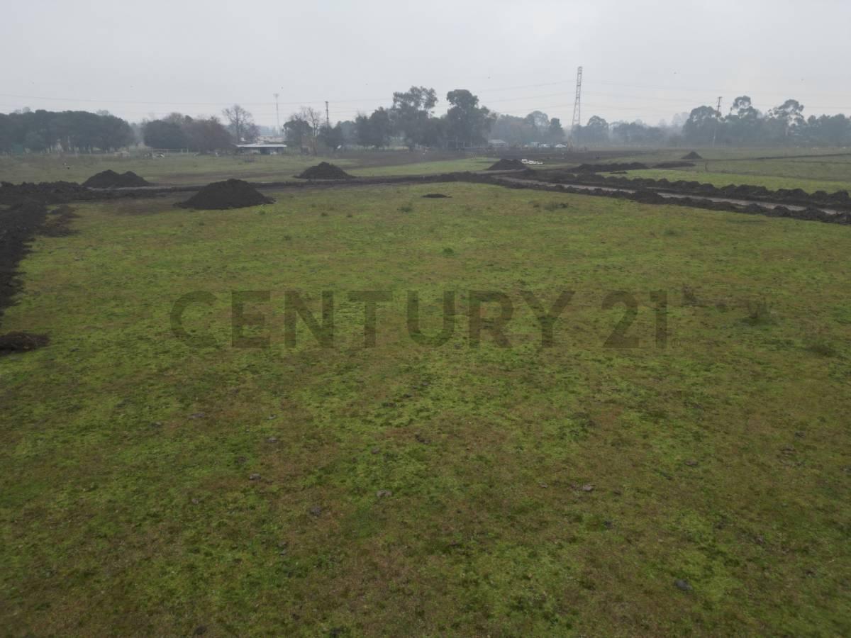 Foto de LOTES EN VENTA SAN JERONIMO II - MATHEU, imagen 3
