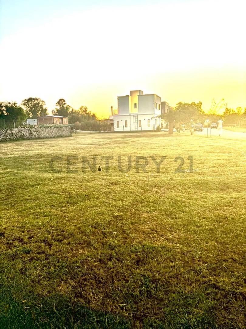 Foto de Lote en venta en Santa Emilia – Pilar del Este, imagen 3