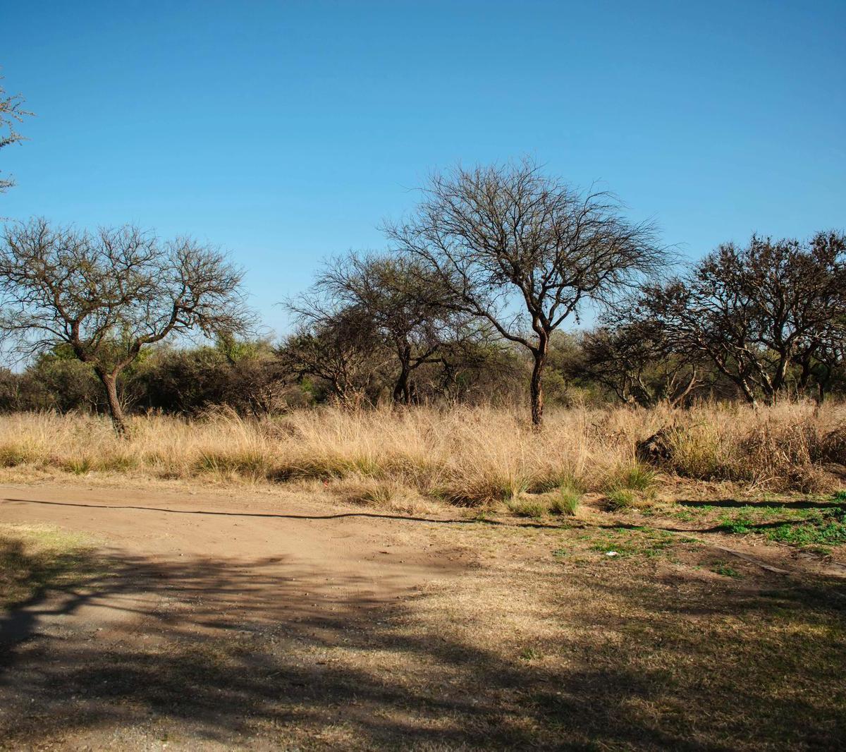 Terreno en Venta 5
