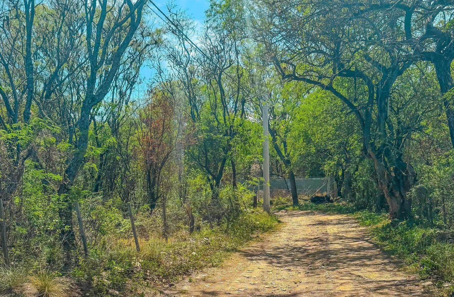 Foto de Terreno de 1000m2 Cerro de Oro, Merlo !!!, imagen 3